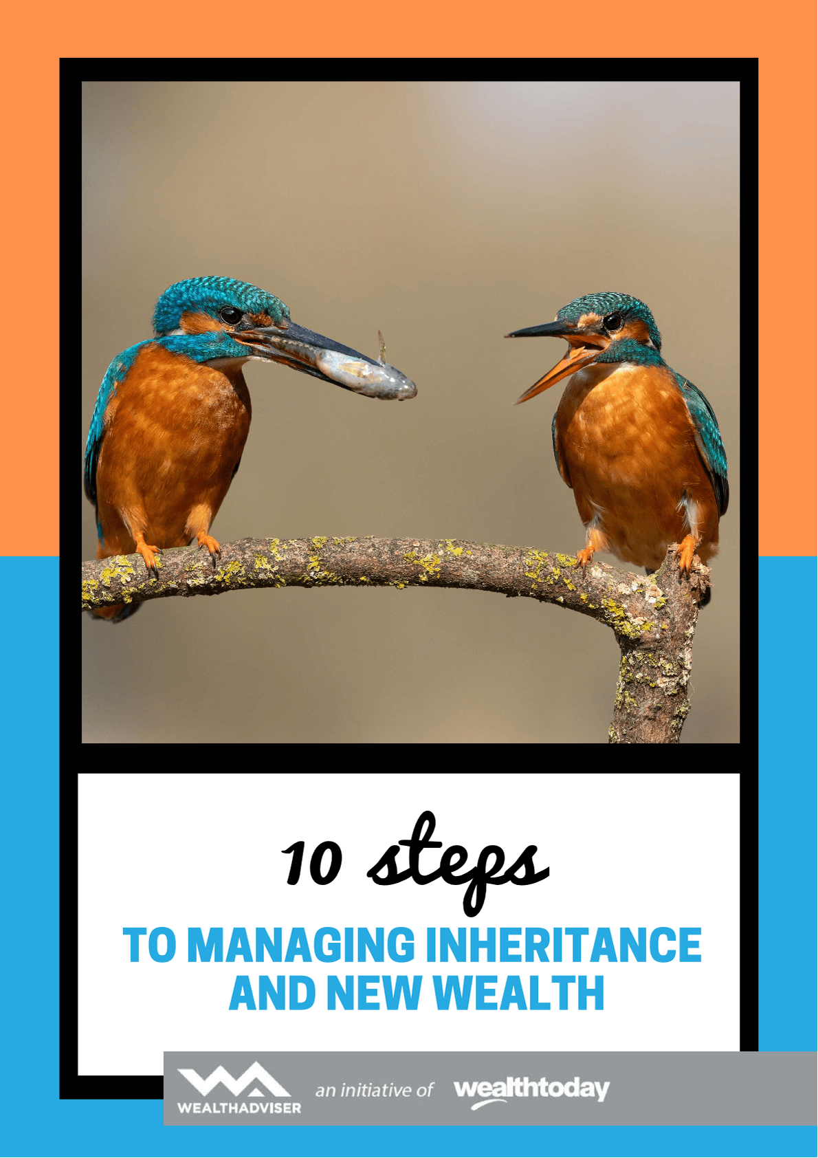 10-steps-to-managing-inheritance-and-new-wealth-cover-wt